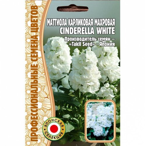      Cinderella White (5 )   -     , -, 