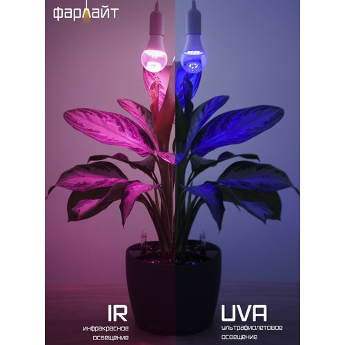    ,       LED,   UVA +IR -  ( ), ,14 , 27   -     , -, 