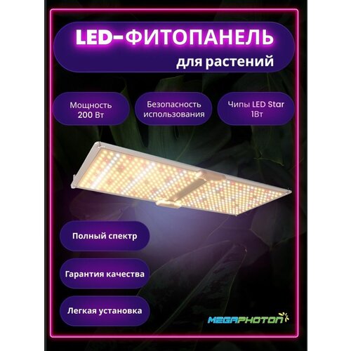     Megaphoton LED 200  , ,  , Quantum Board (   )   -     , -, 