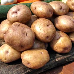 информация, описания, фото сортов картофеля