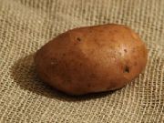 фото Серпанок картофель