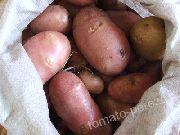 фото Хозяюшка  картофель