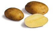 фото Каратоп картофель