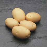 фото Фабула картофель
