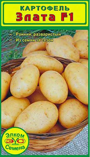 картофель Злата F1 гибрид семена, фото, описание, характеристики