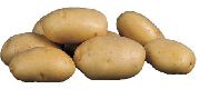 фото Космос картофель