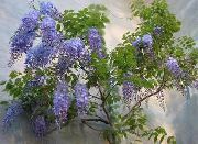 фото Глициния (Вистерия) лиана домашние комнатные цветы и растения