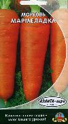 фото Мармеладка морковь