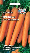 фото Нантская улучшенная морковь
