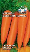фото Осенний Король морковь