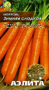 фото Зимняя сладкая морковь