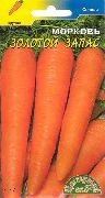 фото Золотой запас морковь