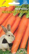 фото Милашка кролик морковь