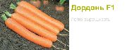 фото Дордонь F1 (Сингента) морковь