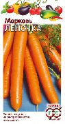 фото Леночка морковь