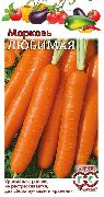 фото Любимая морковь