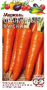 фото Оранжевый мускат морковь