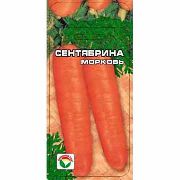 фото Сентябрина морковь