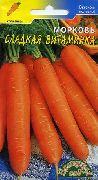 фото Сладкая витаминка морковь
