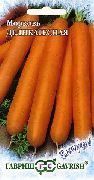 фото Деликатесная  морковь