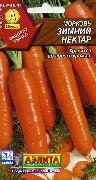 фото Зимний нектар морковь