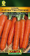 фото Лакомство гномов морковь