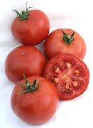 фото Мадера F1 помидоры и томаты