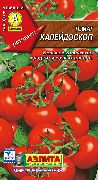фото Калейдоскоп помидоры и томаты