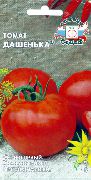 фото Дашенька помидоры и томаты