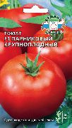 фото Парниковый крупноплодный F1 помидоры и томаты