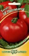 фото Пантикапей F1 помидоры и томаты