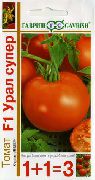 фото Урал Супер F1 помидоры и томаты