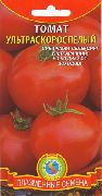 фото Ультраскороспелый помидоры и томаты