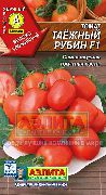 фото Таёжный рубин F1 помидоры и томаты