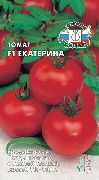 фото Екатерина F1 помидоры и томаты