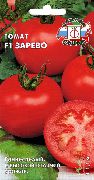 фото Зарево F1 помидоры и томаты
