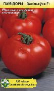 фото Васильевна F1 помидоры и томаты