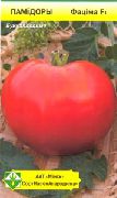 фото Фатима F1 помидоры и томаты