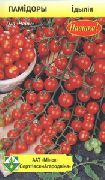 фото Идиллия помидоры и томаты