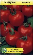 фото Калинка помидоры и томаты