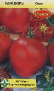 фото Юхас помидоры и томаты