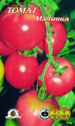 фото Малинка помидоры и томаты