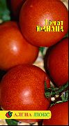 фото Юлиана помидоры и томаты