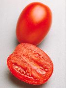 фото Гваделетте 312 F1 помидоры и томаты
