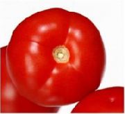 фото Генерал F1 помидоры и томаты