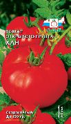фото Хан помидоры и томаты
