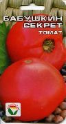 фото Бабушкин секрет помидоры и томаты