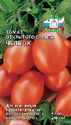 фото Челнок помидоры и томаты