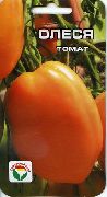 фото Олеся помидоры и томаты