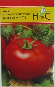 фото Магнус f1 помидоры и томаты